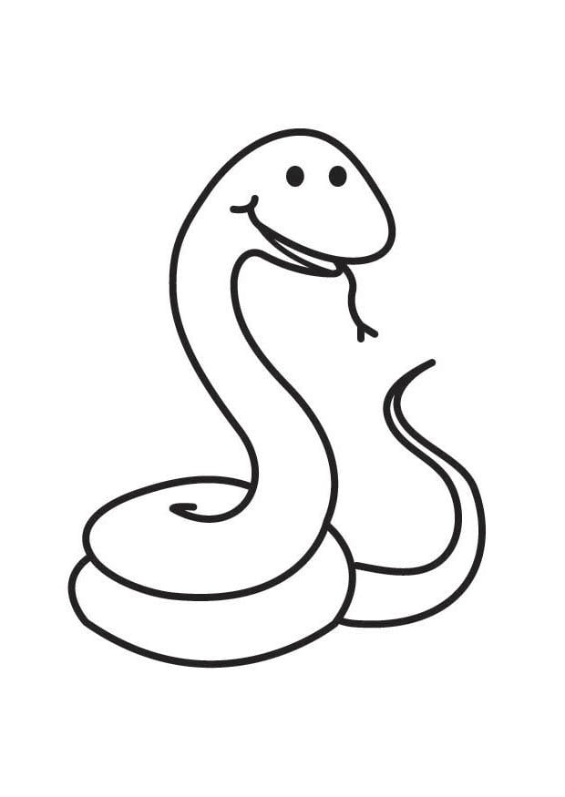 Dibujo para colorear serpiente - Dibujos Para Imprimir Gratis - Img 18149