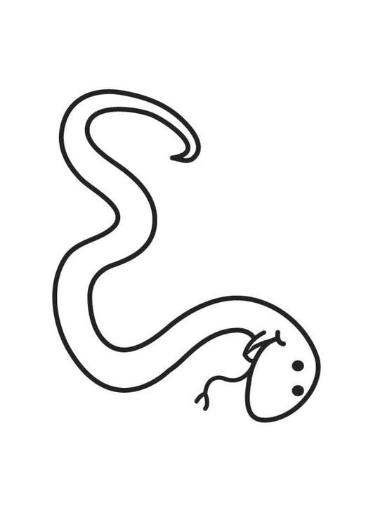 serpiente