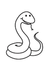 Dibujo para colorear serpiente