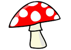 Imagen seta