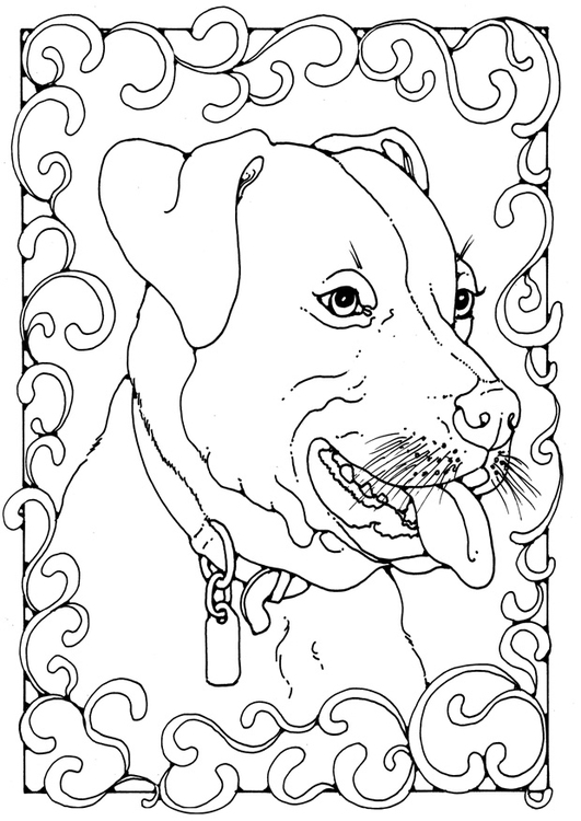Dibujo para colorear staffordshire bull terrier