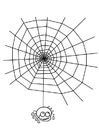dibujo-para-colorear tela de araña con araña