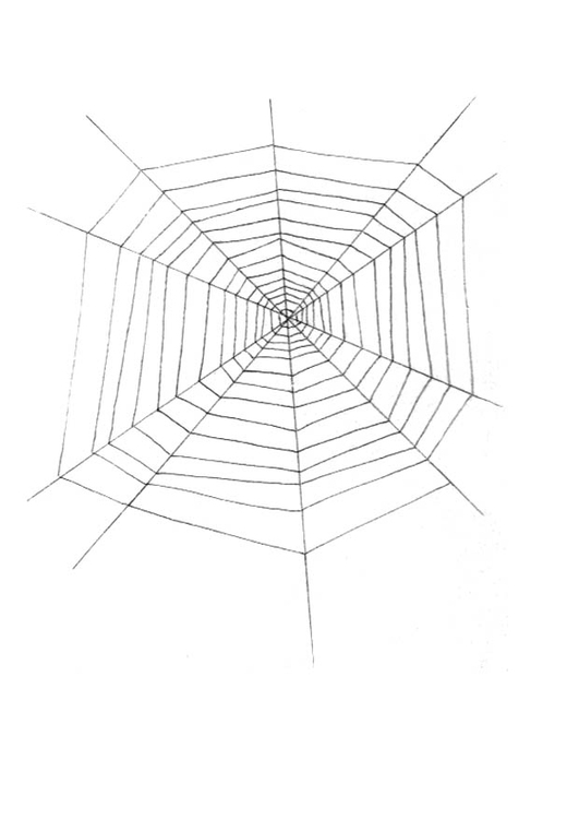 Dibujo para colorear tela de araÃ±a