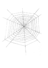 dibujo-para-colorear tela de araña