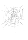 Dibujos para colorear tela de araña