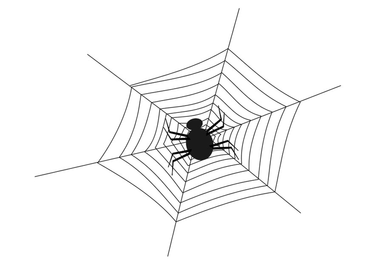 Dibujo para colorear telaraÃ±a con araÃ±a