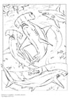 Dibujos para colorear Tiburón martillo