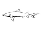 Dibujos para colorear Tiburón