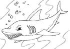 Dibujos para colorear tiburón 