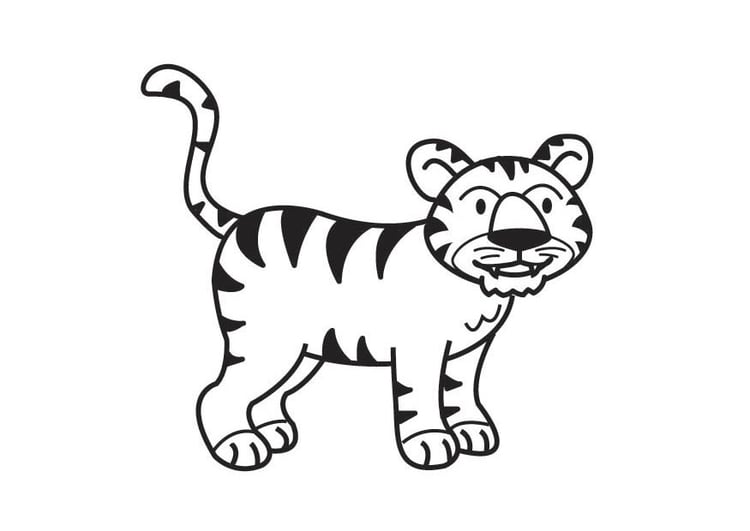 Dibujo para colorear tigre