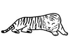 Dibujos para colorear Tigre durmiendo