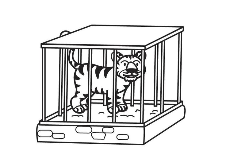 Dibujo para colorear tigre en jaula