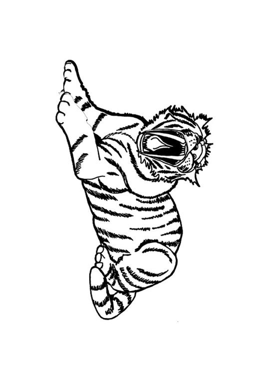 Tigre
