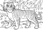 Dibujos para colorear tigre