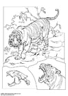Dibujo para colorear Tigre