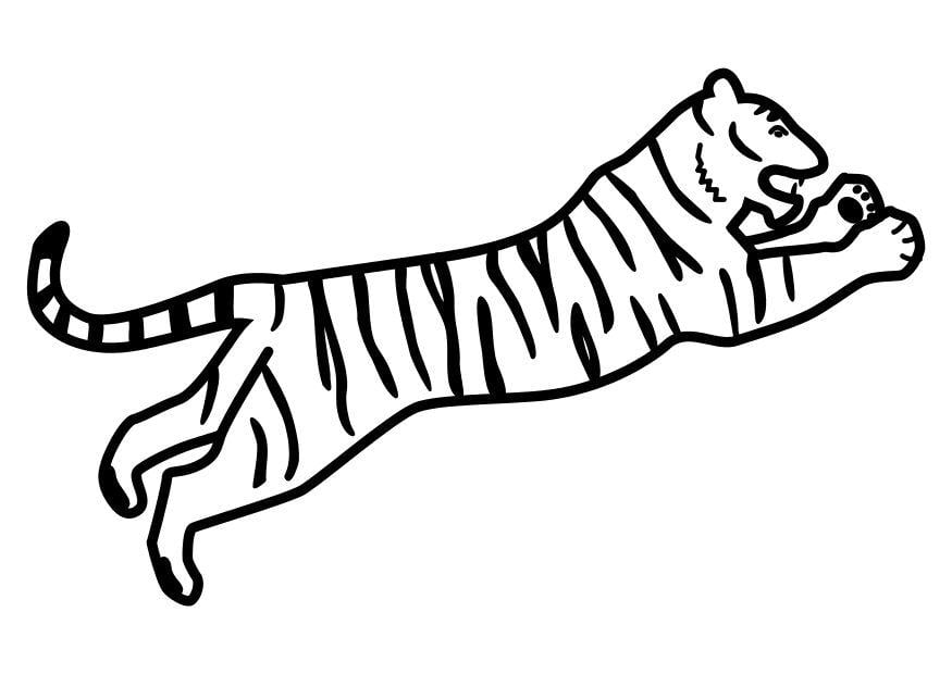 Dibujo para colorear Tigre saltando