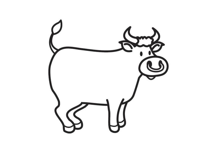 Dibujo para colorear toro