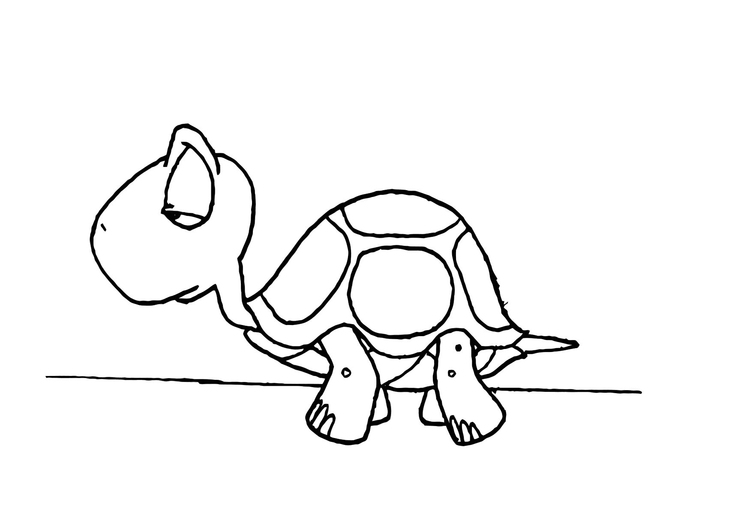 Dibujo para colorear Tortuga