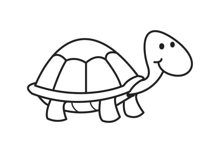 Dibujo para colorear tortuga