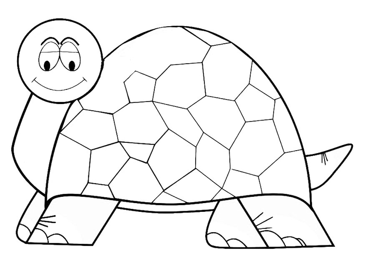 Dibujo para colorear tortuga