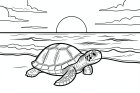 Tortuga en la playa con una hermosa puesta de sol.