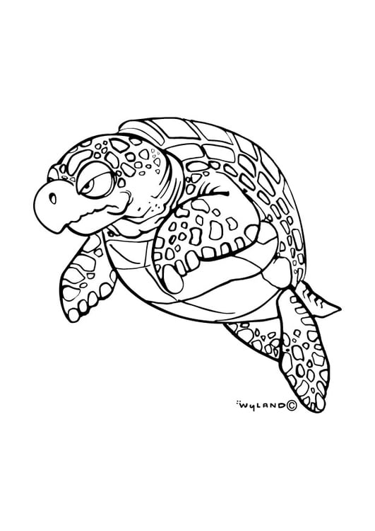 Dibujo para colorear Tortuga marina