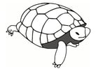 Dibujos para colorear tortuga