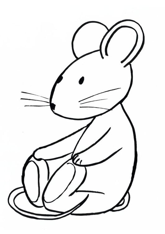Dibujo para colorear Transi, el conejo