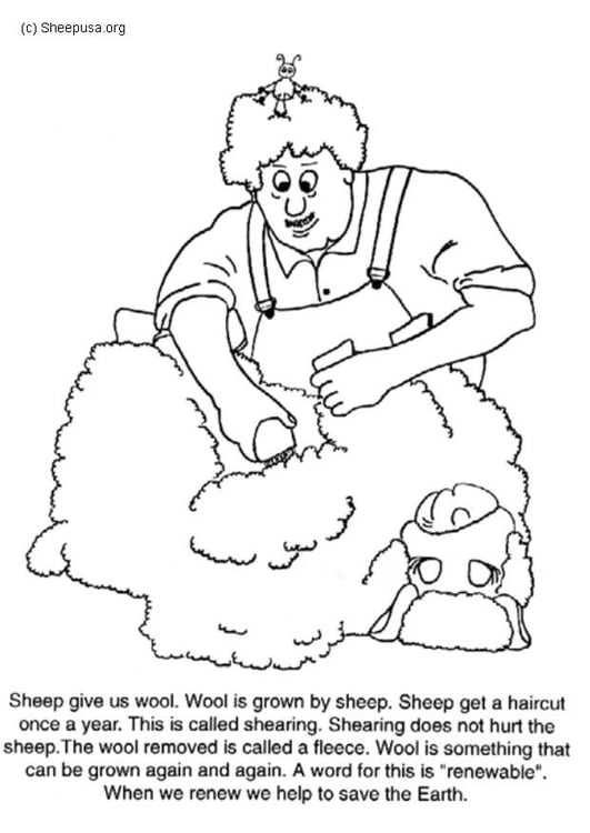 Dibujo para colorear Trasquilar una oveja