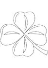 Trébol irlandés - Shamrock