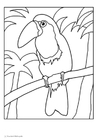 Dibujo para colorear TucÃ¡n