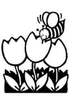 Dibujo para colorear tulipanes con abeja