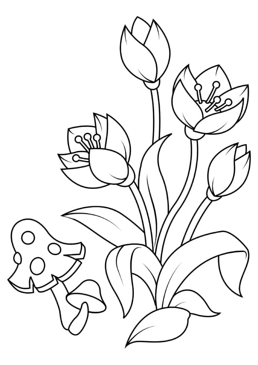 Dibujo para colorear tulipanes con setas