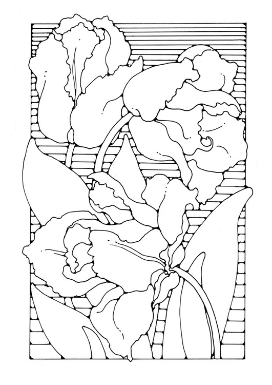 Dibujo para colorear tulipanes