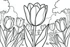 tulipanes