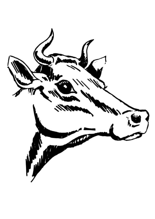Dibujo para colorear vaca con cuernos