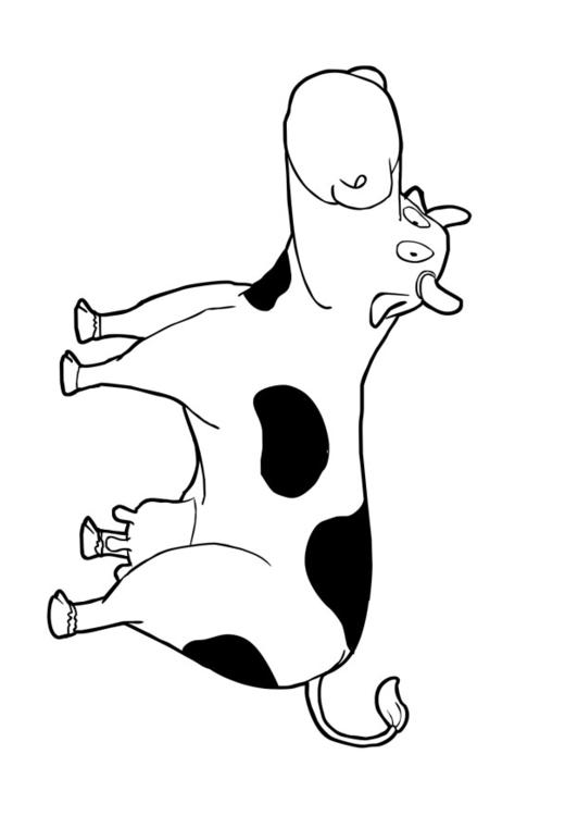 Vaca