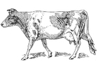 Dibujos para colorear vaca