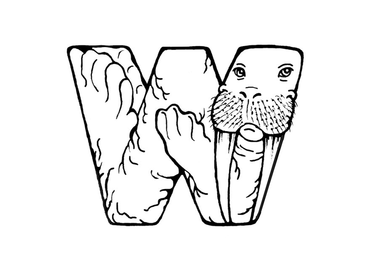 Dibujo para colorear w-walrus