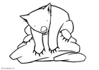 Dibujos para colorear Wombat