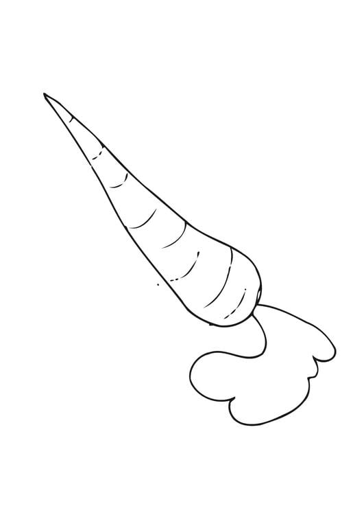 Zanahoria