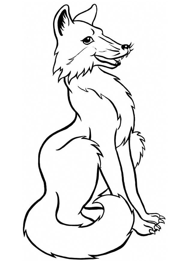 baby arctic fox coloring pages cute - photo #20