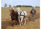 Agricultor