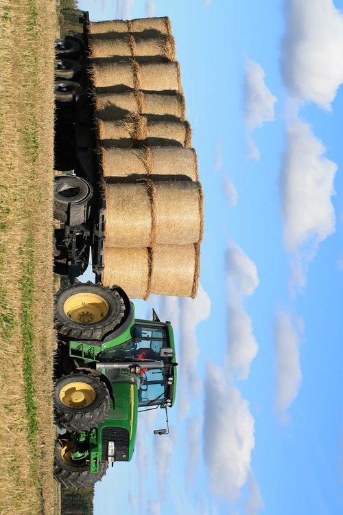 agricultura