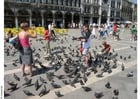 Foto Alimentando a las palomas en la plaza de San Marco, Venecia