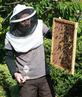 Foto apicultor