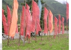 Foto Banderas de oraciÃ³n