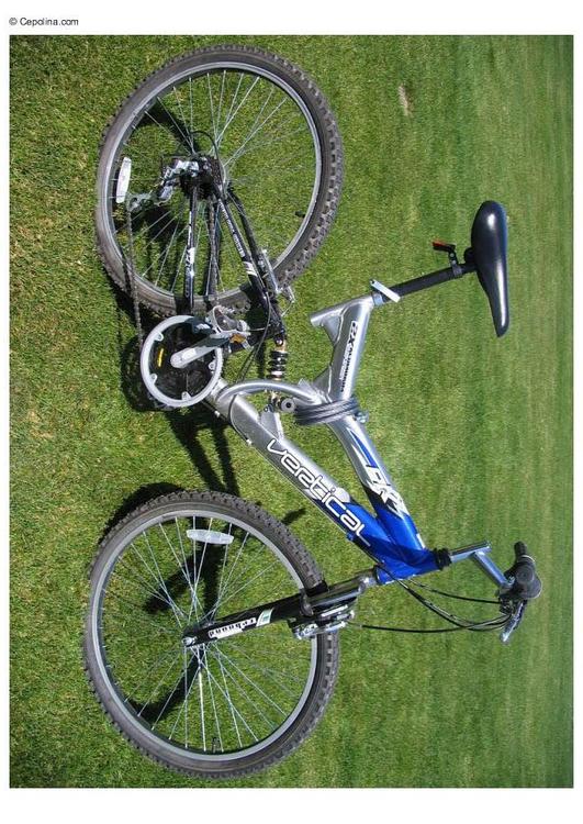 Bicicleta