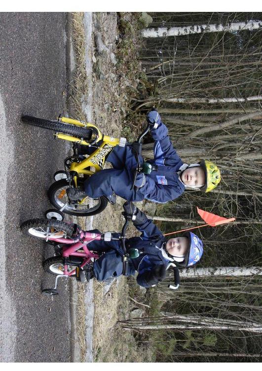 Bicicletas