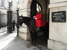 Foto CaballerÃ­a domÃ©stica Londres